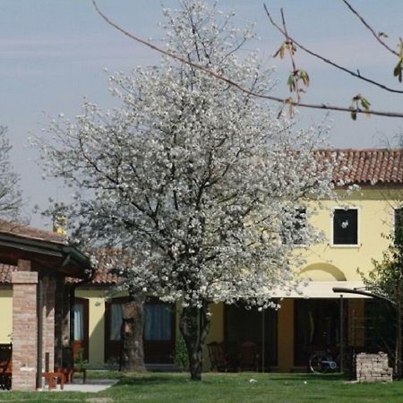 Particolari Del Brenta Oriago Di Mira Exterior foto