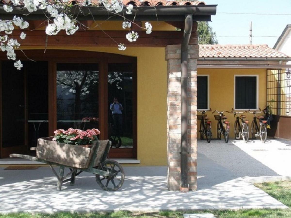 Particolari Del Brenta Oriago Di Mira Exterior foto