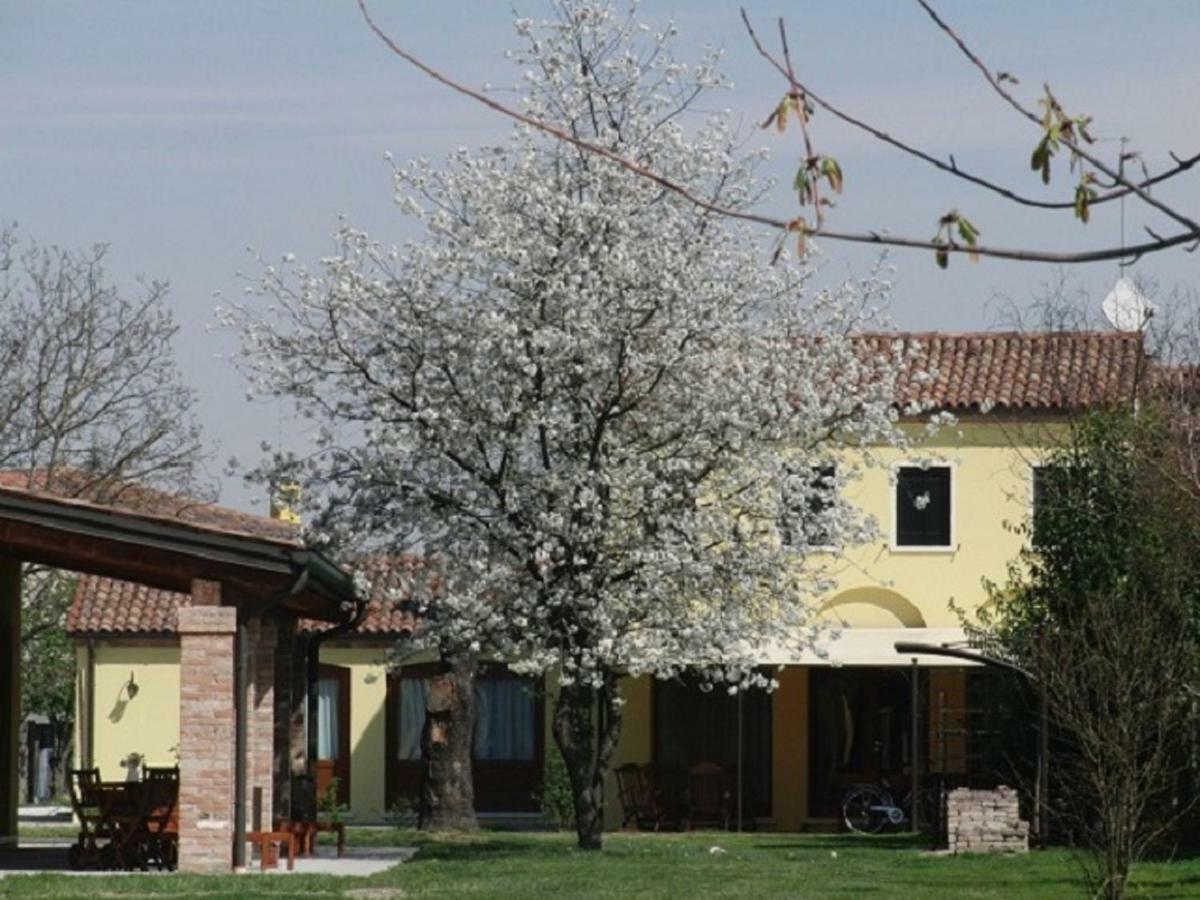 Particolari Del Brenta Oriago Di Mira Exterior foto