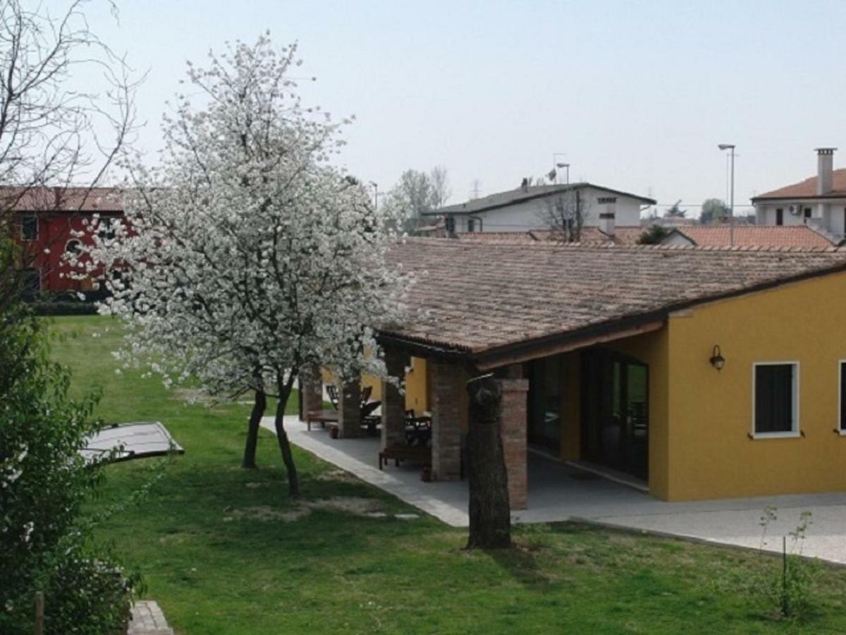 Particolari Del Brenta Oriago Di Mira Exterior foto
