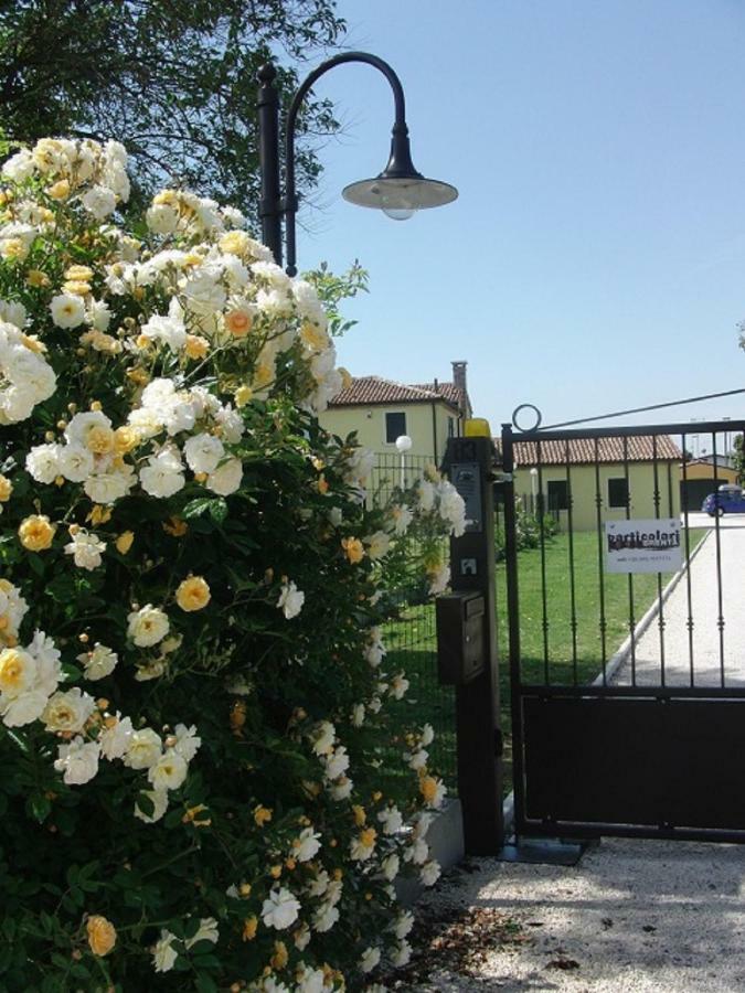 Particolari Del Brenta Oriago Di Mira Exterior foto